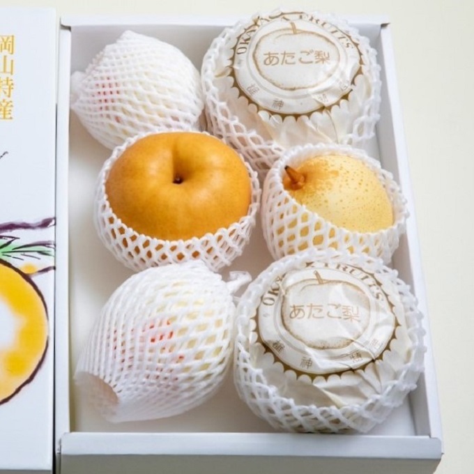 梨 2025年 先行予約 ご家庭用 あたご梨・鴨梨（ヤーリー）詰め合わせ 約4kg あたご梨2～3玉 ヤーリー3～6玉 化粧箱【11月下旬～12月中旬頃発送】 ナシ なし 岡山県産 国産 フルーツ 果物 石原果樹園 