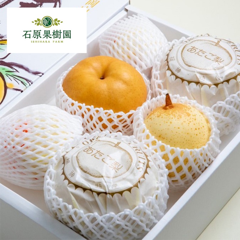 梨 2025年 先行予約 ご家庭用 あたご梨・鴨梨（ヤーリー）詰め合わせ 約4kg あたご梨2～3玉 ヤーリー3～6玉 化粧箱【11月下旬～12月中旬頃発送】 ナシ なし 岡山県産 国産 フルーツ 果物 石原果樹園 