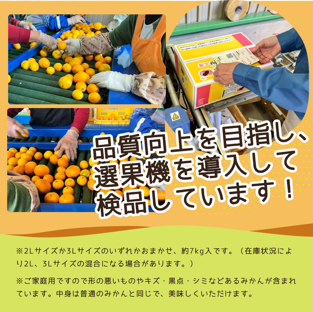 ZJ6090_【ふるさと納税】ご家庭用　和歌山 有田みかん 約7kg (2L、3Lサイズ)【湯浅町】