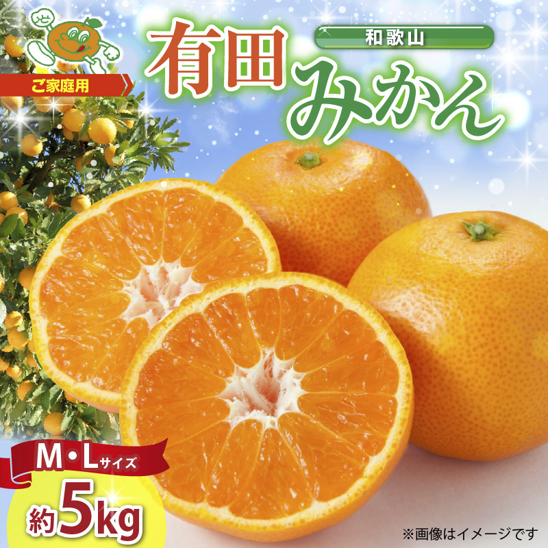 【和歌山県有田郡湯浅町】ZJ6083_ご家庭用 和歌山 有田みかん 約5kg (M、Lサイズ)【湯浅町】