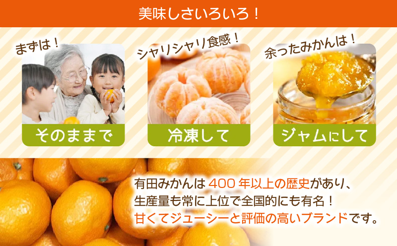 ZJ6097_果物ランキング1位獲得！ 総合ランキング6位獲得！TVで紹介されました！リピーター続出 みかん 温州みかん フルーツ 果物 柑橘 果実 甘味 酸味 ジューシー 人気 国産 食べ物 産地直送 和歌山県 湯浅町 送料無料 家庭用 和歌山 有田みかん 約5kg (SS、Sサイズ) 湯浅町