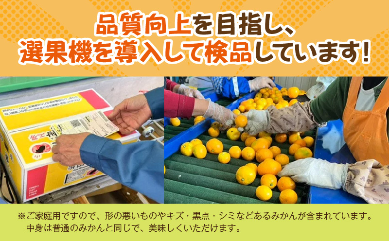ZJ6097_果物ランキング1位獲得！ 総合ランキング6位獲得！TVで紹介されました！リピーター続出 みかん 温州みかん フルーツ 果物 柑橘 果実 甘味 酸味 ジューシー 人気 国産 食べ物 産地直送 和歌山県 湯浅町 送料無料 家庭用 和歌山 有田みかん 約5kg (SS、Sサイズ) 湯浅町