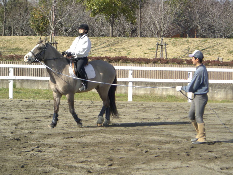茨城県古河市のふるさと納税 ネーブルパーク 施設利用券 6,000円分（500円×12枚） | 利用券 公園 テーマパーク ポニー 工芸 パン キャンプ 宿泊 BBQ バーベキュー 地下迷路 迷路 自然 花 贈答 休日 夏休み 冬休み GW 贈り物 プレゼント 茨城県 古河市 送料無料 _DP14