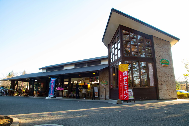 茨城県古河市のふるさと納税 ネーブルパーク 施設利用券 6,000円分（500円×12枚） | 利用券 公園 テーマパーク ポニー 工芸 パン キャンプ 宿泊 BBQ バーベキュー 地下迷路 迷路 自然 花 贈答 休日 夏休み 冬休み GW 贈り物 プレゼント 茨城県 古河市 送料無料 _DP14