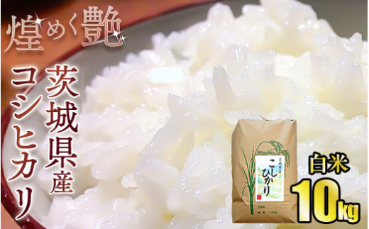煌めく艶 令和6年茨城県産コシヒカリ10kg【白米】◆