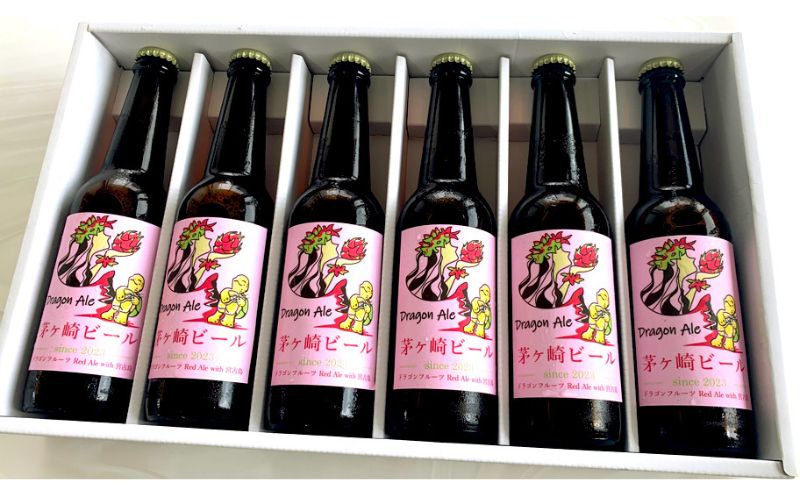 茅ヶ崎ビール (Dragon Ale) 6本セット　【お酒　ビール　クラフトビール　瓶入り　化粧箱入り】 地ビール 瓶ビール アルコール飲料 家飲み 晩酌 バーベキュー BBQ 