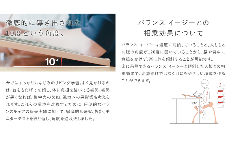 バランスイージー カバー付き イージーライティングボード L セット 選べる カラー 姿勢強制イス 姿勢がよくなる椅子 姿勢強制 姿勢がよくなる 椅子 バランス イージー カバー 学習椅子 姿勢をよくする グッズ インテリア 家具 日本製 岐阜 美濃市