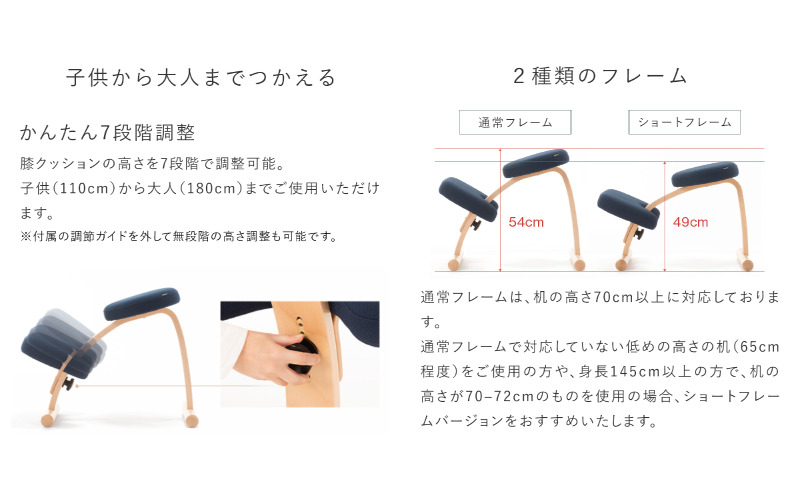 バランスイージー カバーなし 選べる カラー 姿勢強制イス 姿勢がよくなる椅子 子供 大人 姿勢強制 姿勢がよくなる 椅子 バランス イージー いす イス 学習椅子 姿勢をよくする グッズ インテリア 家具 日本製 岐阜 岐阜県 美濃市