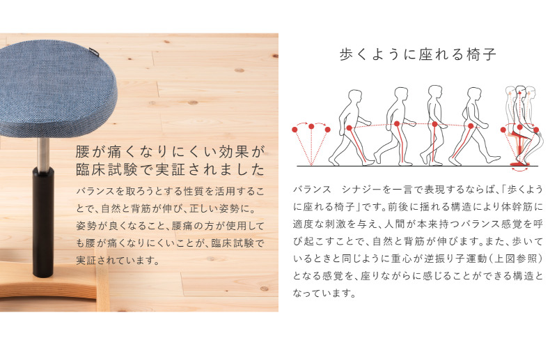 バランスシナジー カバーなし 選べる カラー 腰痛対策椅子 腰痛対策 腰痛予防 腰痛防止椅子 腰痛防止 椅子 姿勢強制椅子 姿勢が良くなる椅子 姿勢強制 姿勢が良くなる いす イス インテリア 家具 日本製 岐阜 岐阜県 美濃市