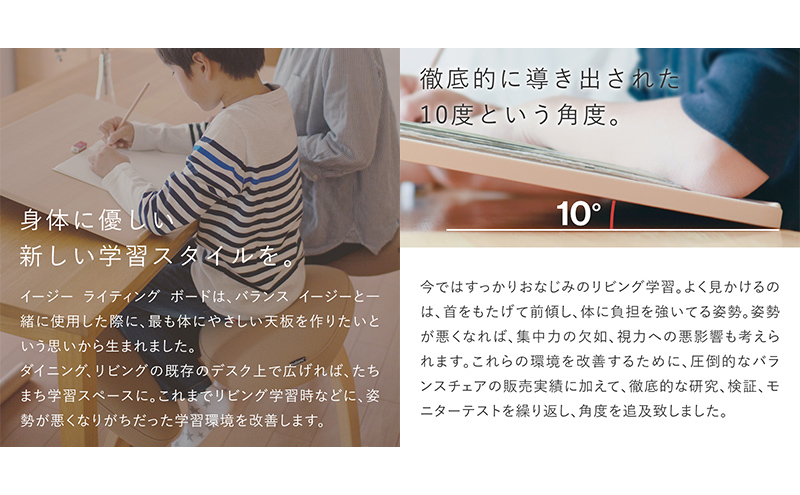 岐阜県美濃市のふるさと納税 バランス イージー(カバーなし)とイージーライティングボードMのセット デザインチェア インテリア 工芸品 背筋 イス 7段階調整