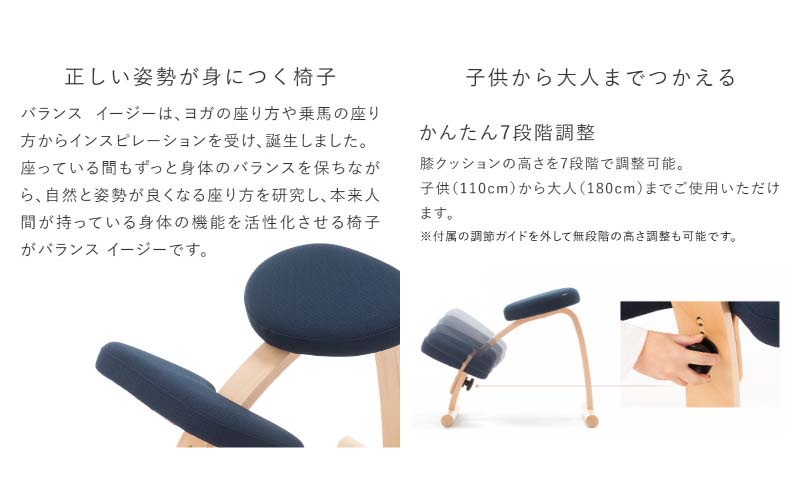 バランスイージー カバー付き イージーライティングボード L セット 選べる カラー 姿勢強制イス 姿勢がよくなる椅子 姿勢強制 姿勢がよくなる 椅子 バランス イージー カバー 学習椅子 姿勢をよくする グッズ インテリア 家具 日本製 岐阜 美濃市