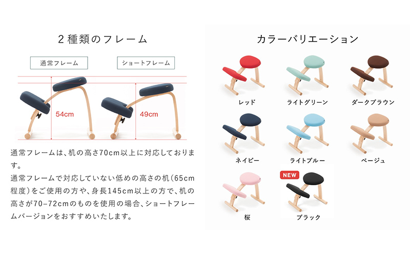 バランスイージー カバー付き イージーライティングボード L セット 選べる カラー 姿勢強制イス 姿勢がよくなる椅子 姿勢強制 姿勢がよくなる 椅子 バランス イージー カバー 学習椅子 姿勢をよくする グッズ インテリア 家具 日本製 岐阜 美濃市