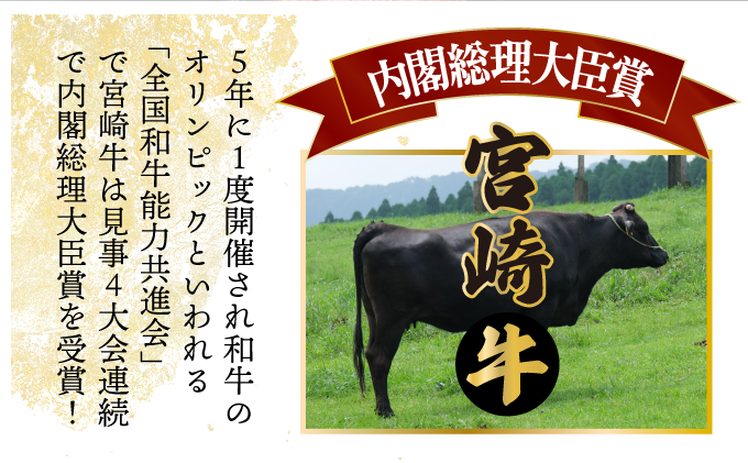 宮崎県串間市のふるさと納税 KU305 【定期便・全6回】宮崎牛と宮崎産豚肉 6ヶ月定期便！計3.7kg