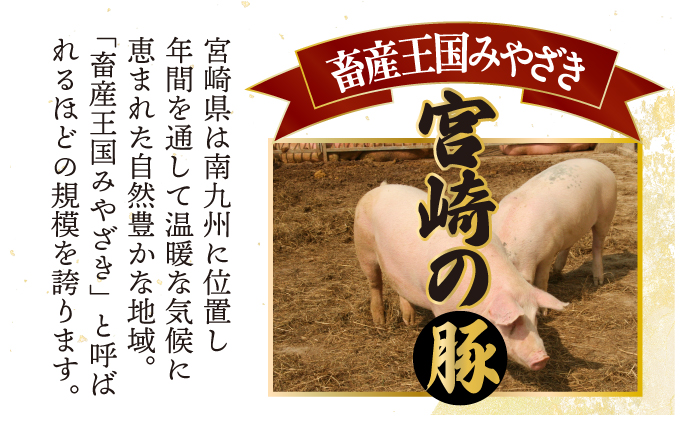 宮崎県串間市のふるさと納税 KU305 【定期便・全6回】宮崎牛と宮崎産豚肉 6ヶ月定期便！計3.7kg