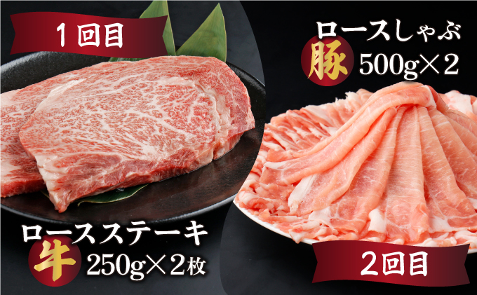 宮崎県串間市のふるさと納税 KU305 【定期便・全6回】宮崎牛と宮崎産豚肉 6ヶ月定期便！計3.7kg