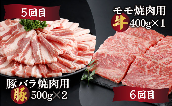 宮崎県串間市のふるさと納税 KU305 【定期便・全6回】宮崎牛と宮崎産豚肉 6ヶ月定期便！計3.7kg