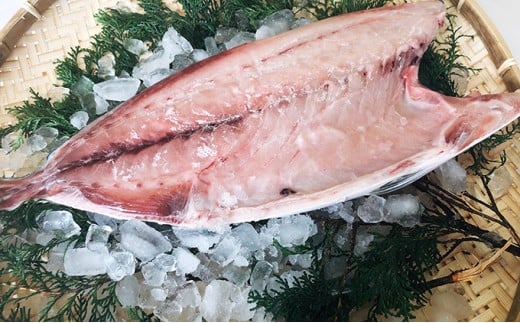 5kg 以上 の 久良 の ぶり 半身 フィレタイプ × 2枚 50000円 ぶり 鰤 ぶりしゃぶ 鰤しゃぶ ブリ たたき 丸ごと 1本 年末 年始 国産 特産品 魚介類 海産物 まるごと 刺身 鮮魚 養殖 フィレ 片身 真空 パック 冷蔵 海鮮 魚介 ブランド 魚 ぶりしゃぶ しゃぶしゃぶ 刺し身 海鮮丼 産地直送 すぶり お歳暮 年末年始 久良漁業協同組合 愛南町 愛媛県