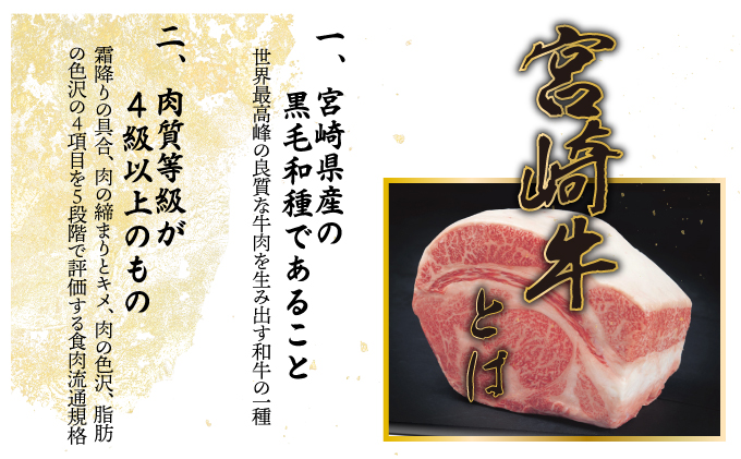 宮崎県串間市のふるさと納税 KU318 宮崎牛焼肉セット 計1.2kg