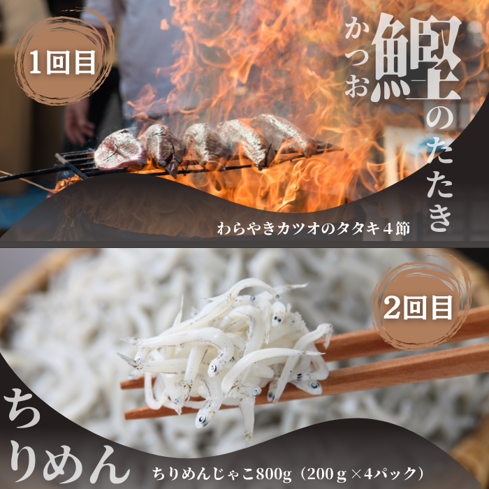 高知県田野町のふるさと納税 【四国一小さなまち】 《カネアリ水産》魚屋のうまいものづくし  6ヶ月定期便 （全6回）