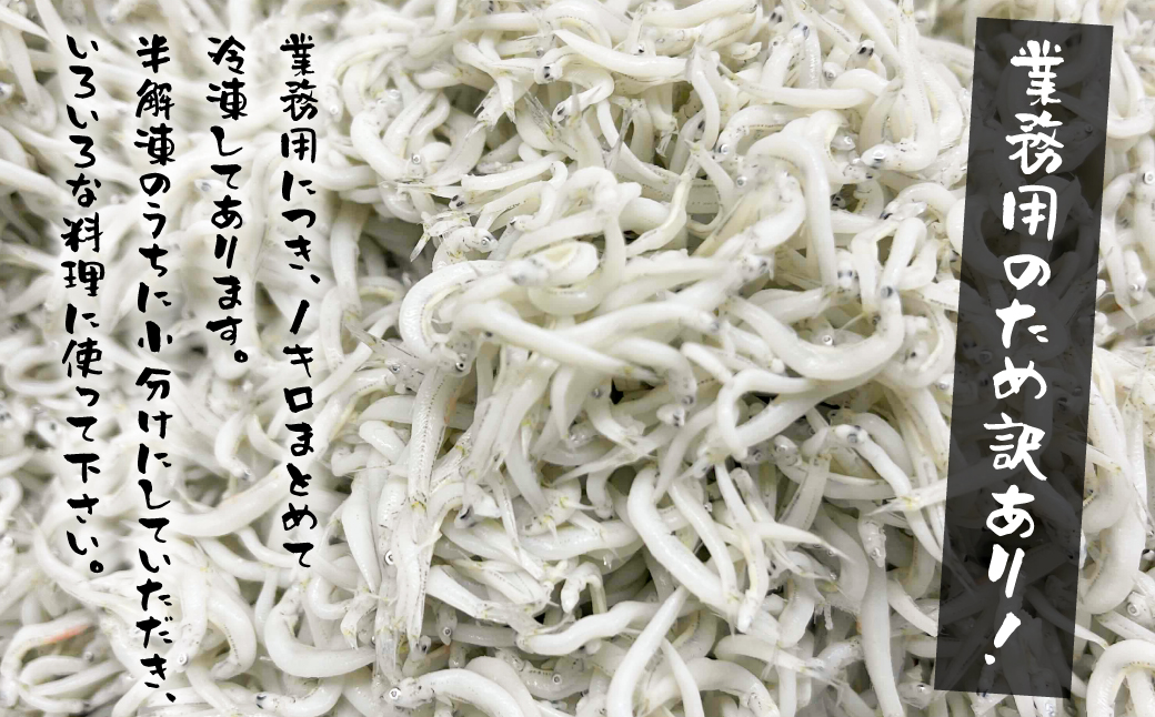 兵庫県淡路市のふるさと納税 【訳あり】淡路島・藤本水産 しらす釜揚げ 業務用サイズ1kg入り　[シラス 冷凍 釜揚げしらす]