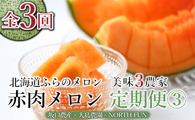【北海道富良野市】【年3回定期便】【2026年6〜9月お届け】数量限定! こだわりのふらのメロン 厳選3農家 コラボ  定期便(3)  食べ比べ 赤肉 2玉×3回 合計6玉 (北海道 富良野市 果物 フルーツ 甘い デザート 産地 直送 新鮮 先着順 坂口農産 大島農園 NORTH FUN)