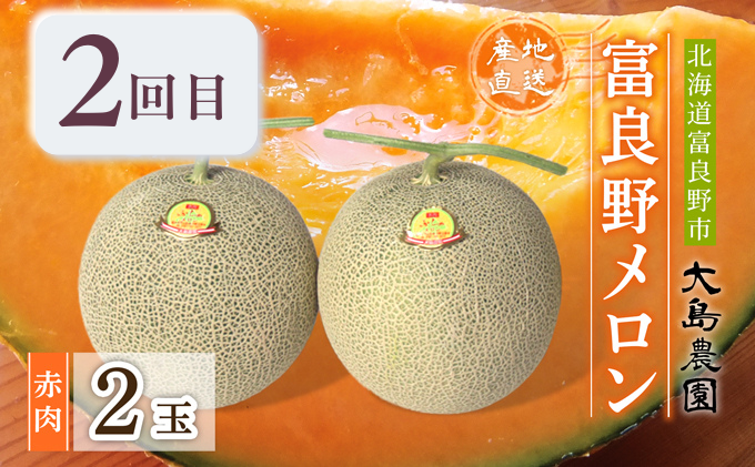 【年3回定期便】【2026年6～9月お届け】数量限定！ こだわりのふらのメロン 厳選3農家 コラボ  定期便(3)  食べ比べ 赤肉 2玉×3回 合計6玉 (北海道 富良野市 果物 フルーツ 甘い デザート 産地 直送 新鮮 先着順 坂口農産 大島農園 NORTH FUN)