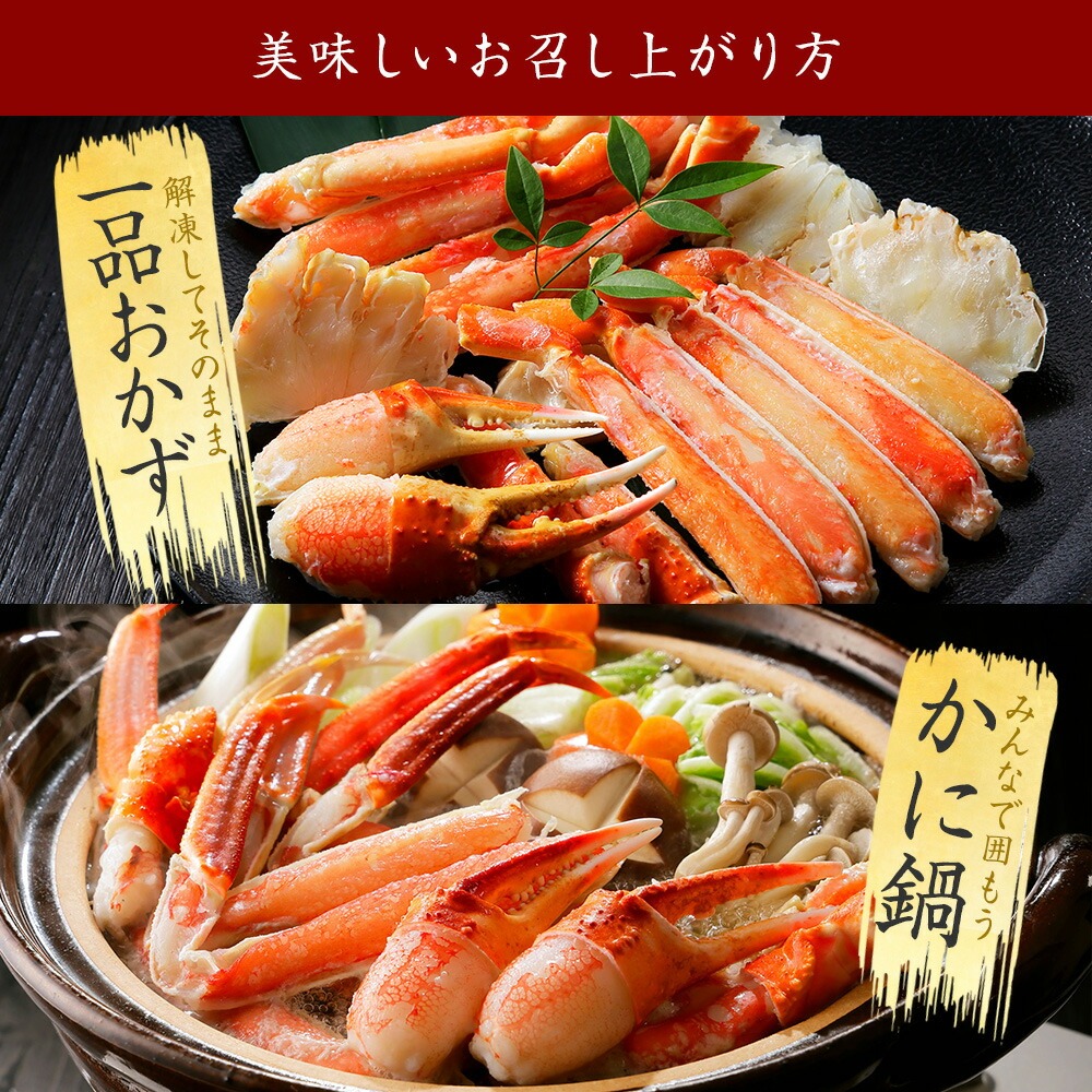 北海道弟子屈町のふるさと納税 【年末配送可能】3355. ボイルズワイガニ足 1kg 約2-3人前 食べ方ガイド・専用ハサミ付 カニ かに 蟹 送料無料 期間限定 数量限定 北海道 弟子屈町