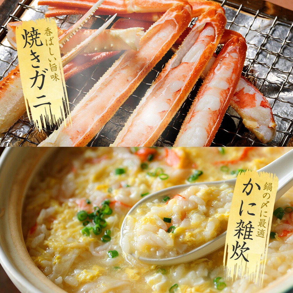 北海道弟子屈町のふるさと納税 【年内配送 12月21日まで受付】3355. ボイルズワイガニ足 1kg 約2-3人前 食べ方ガイド・専用ハサミ付 カニ かに 蟹 送料無料 期間限定 数量限定 北海道 弟子屈町