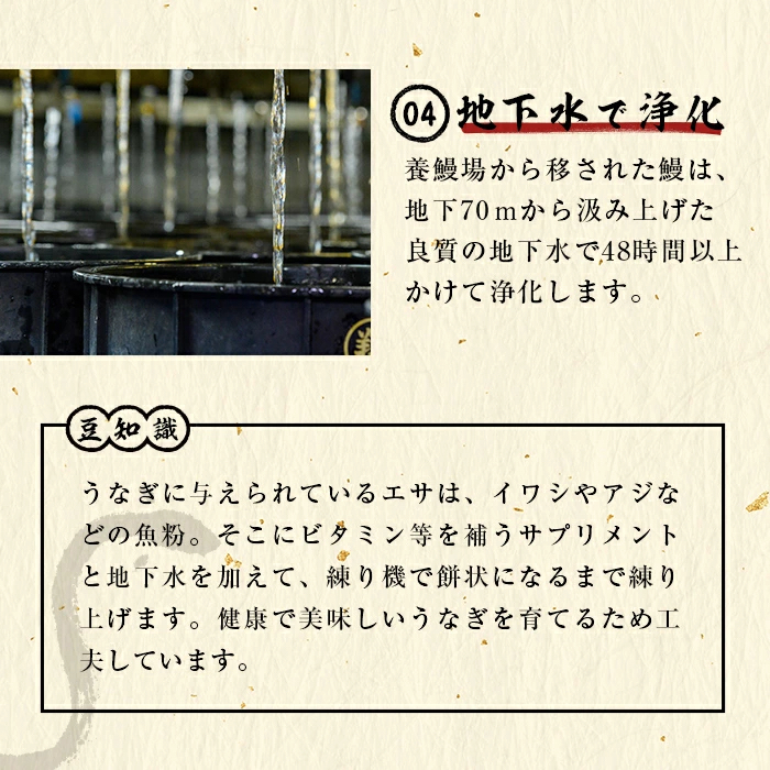 鹿児島県志布志市のふるさと納税 【お礼の品人気No1】霧島湧水鰻の蒲焼き 140g以上×5尾＜計700g以上＞ b2-048