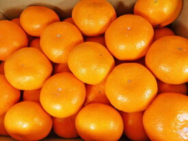 ZD6395_【2026年先行予約】【秀品】 和歌山 有田みかん 6kg（3Lサイズ・秀品）