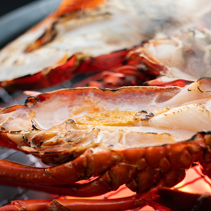 地元産 冷凍伊勢海老カット(サイズ不揃い）約1kg◇｜えび エビ 魚介 海鮮 海産物 和歌山 伊勢海老 伊勢エビ イセエビ 高級 カット 鍋 味噌汁 瞬間冷凍 国産 産地直送 美浜町