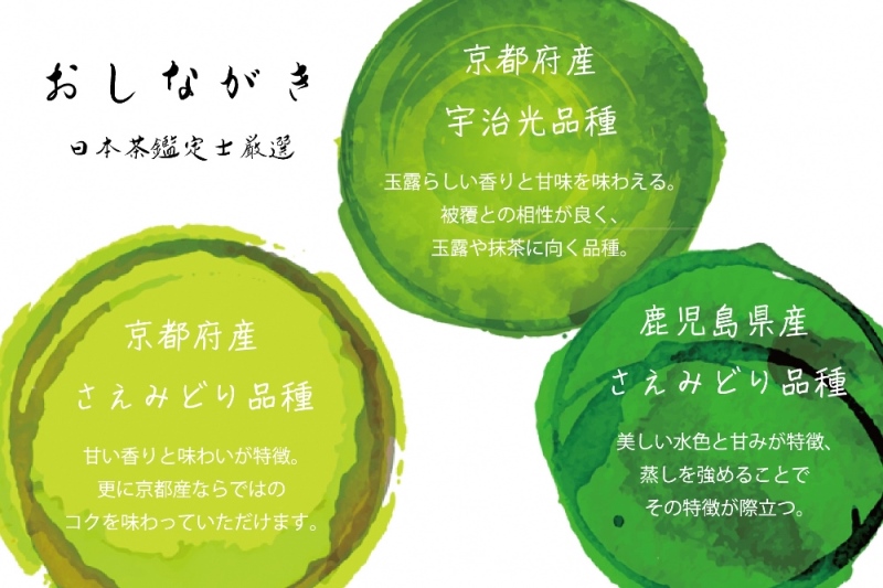 日本茶鑑定士が選んだ品種、緑茶ティーバッグ3種類（各3g×28P）〈お茶 茶 煎茶 緑茶 ティーバッグ ティーパック さえみどり 宇治光 詰合せ 最高茶師 大臣賞 飲料 加工食品〉 