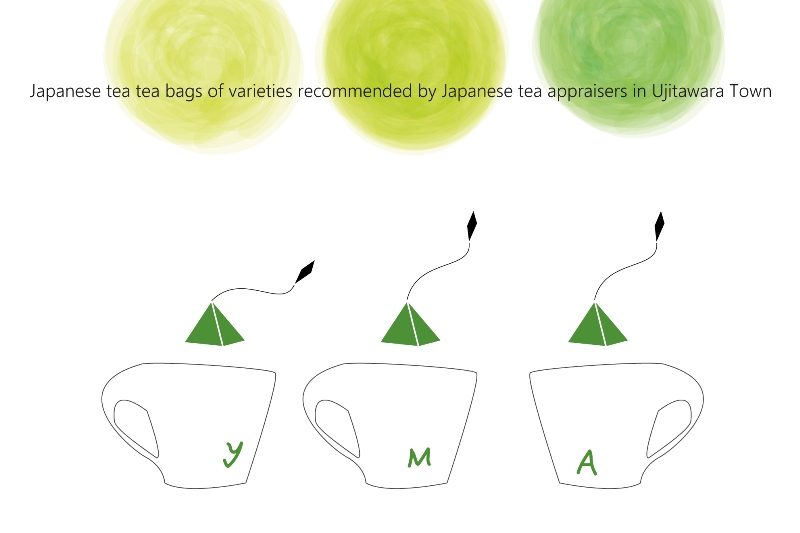 日本茶鑑定士が選んだ品種、緑茶ティーバッグ3種類（各3g×28P）〈お茶 茶 煎茶 緑茶 ティーバッグ ティーパック さえみどり 宇治光 詰合せ 最高茶師 大臣賞 飲料 加工食品〉 