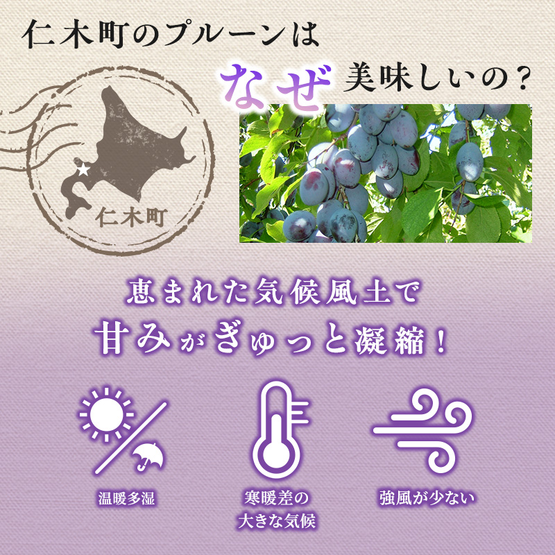 [先行受付] 北海道 仁木町産 季節のプルーン 800g（400g×2パック） プルーン 果物 くだもの フルーツ 果物類 詰合せ [JA新おたる] 
