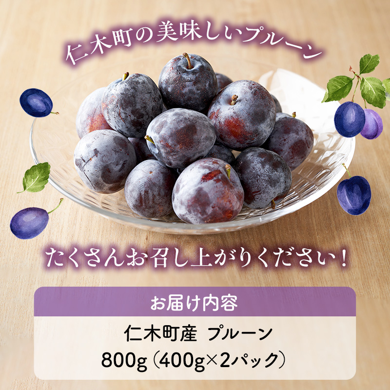 [先行受付] 北海道 仁木町産 季節のプルーン 800g（400g×2パック） プルーン 果物 くだもの フルーツ 果物類 詰合せ [JA新おたる] 