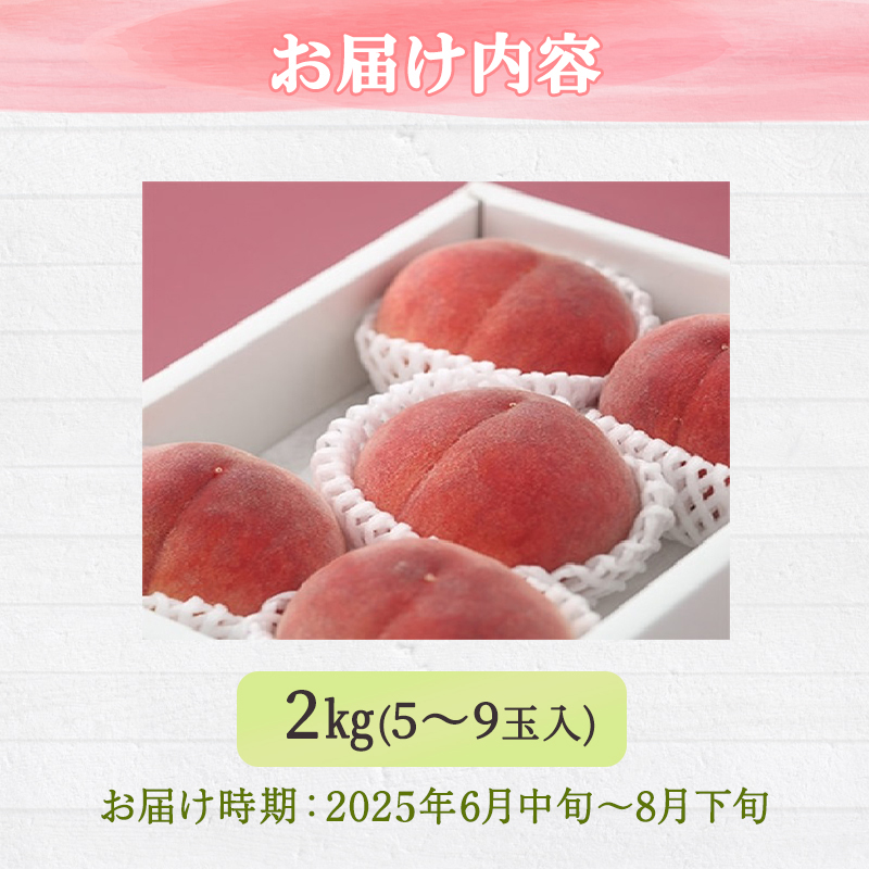 熊本県錦町のふるさと納税 桃 白桃 先行予約 錦の桃 2kg 約5玉～9玉 もも モモ フルーツ 果物 デザート 2025年発送 鎌木果樹園 配送不可:離島