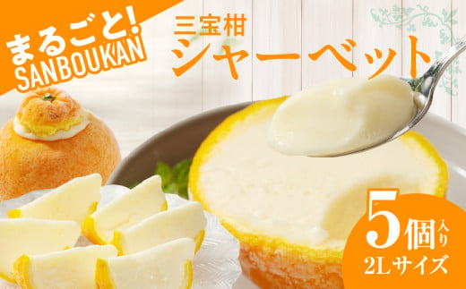 ZP6009n_まるごと三宝柑シャーベット 5個 セット | 和歌山県湯浅町