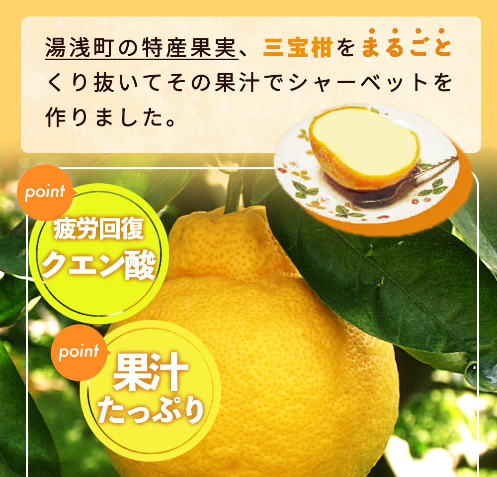 ZP6009_GFTn_【ギフト用】まるごと 三宝柑 シャーベット 5個 セット