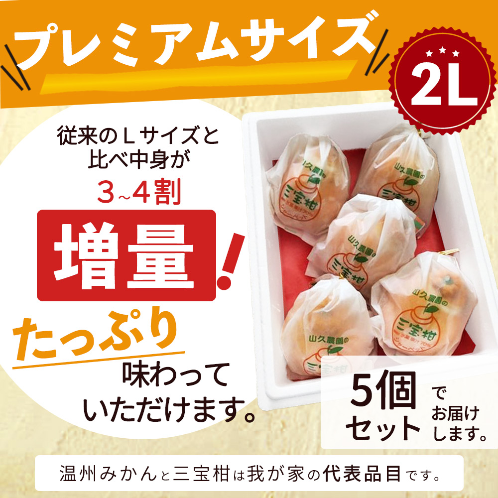 ZP6009_GFTn_【ギフト用】まるごと 三宝柑 シャーベット 5個 セット