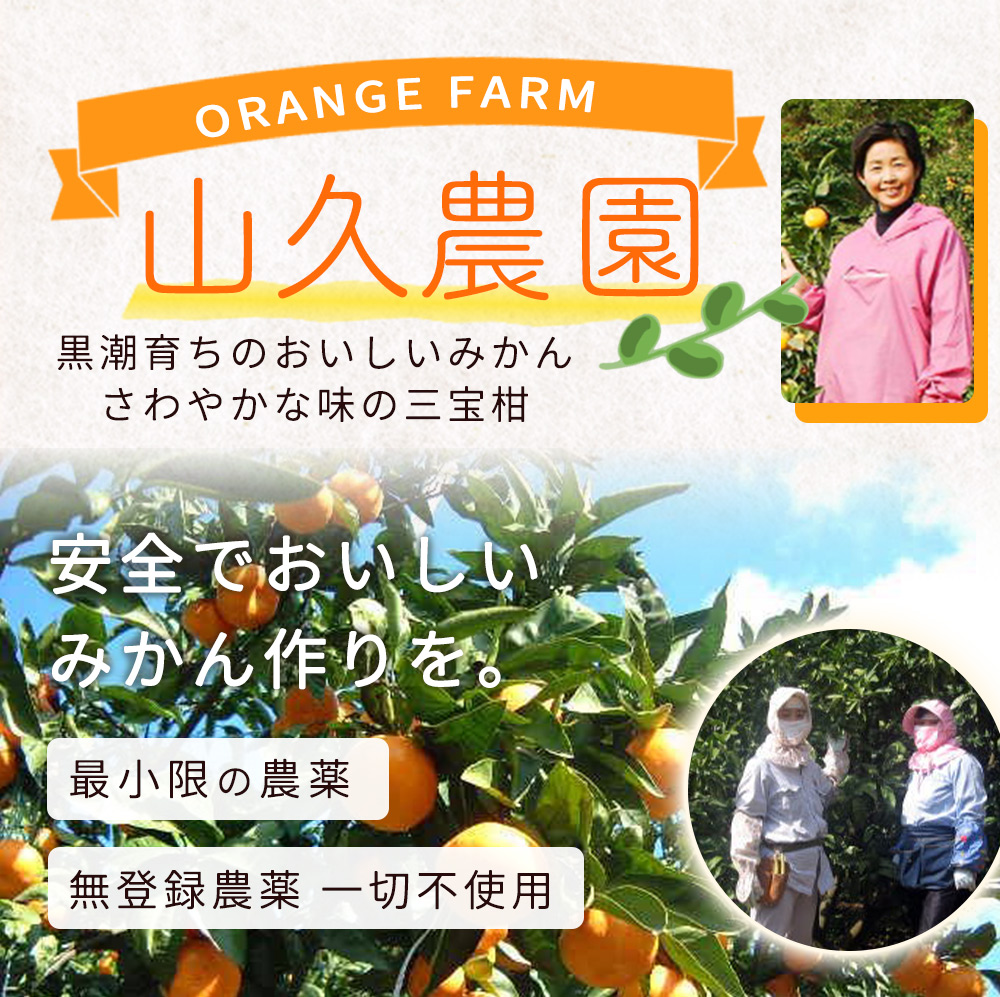 ZP6009_GFTn_【ギフト用】まるごと 三宝柑 シャーベット 5個 セット