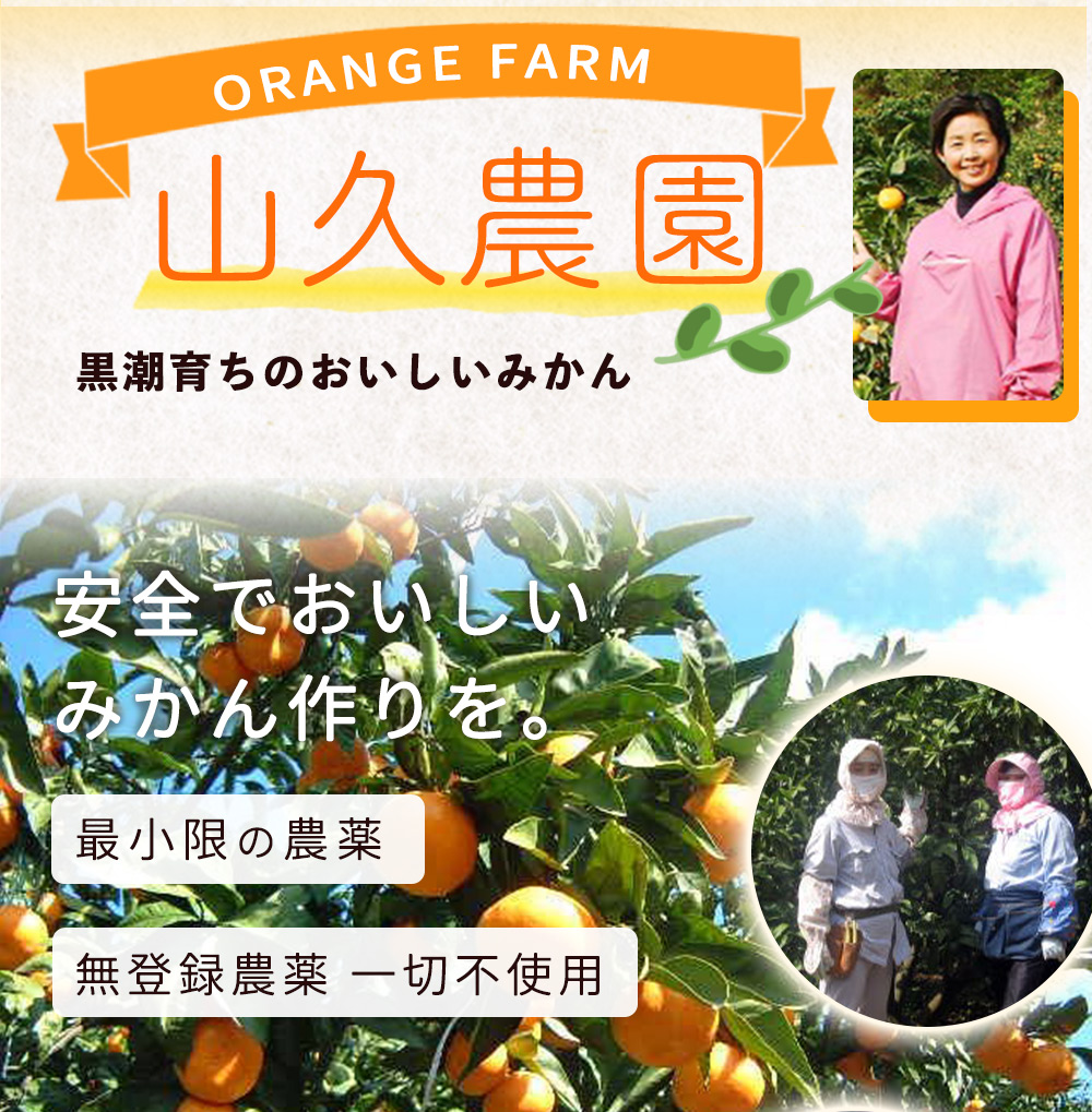 ZP6011n_【2026年先行予約】とってもジューシー！ セミノール 5kg