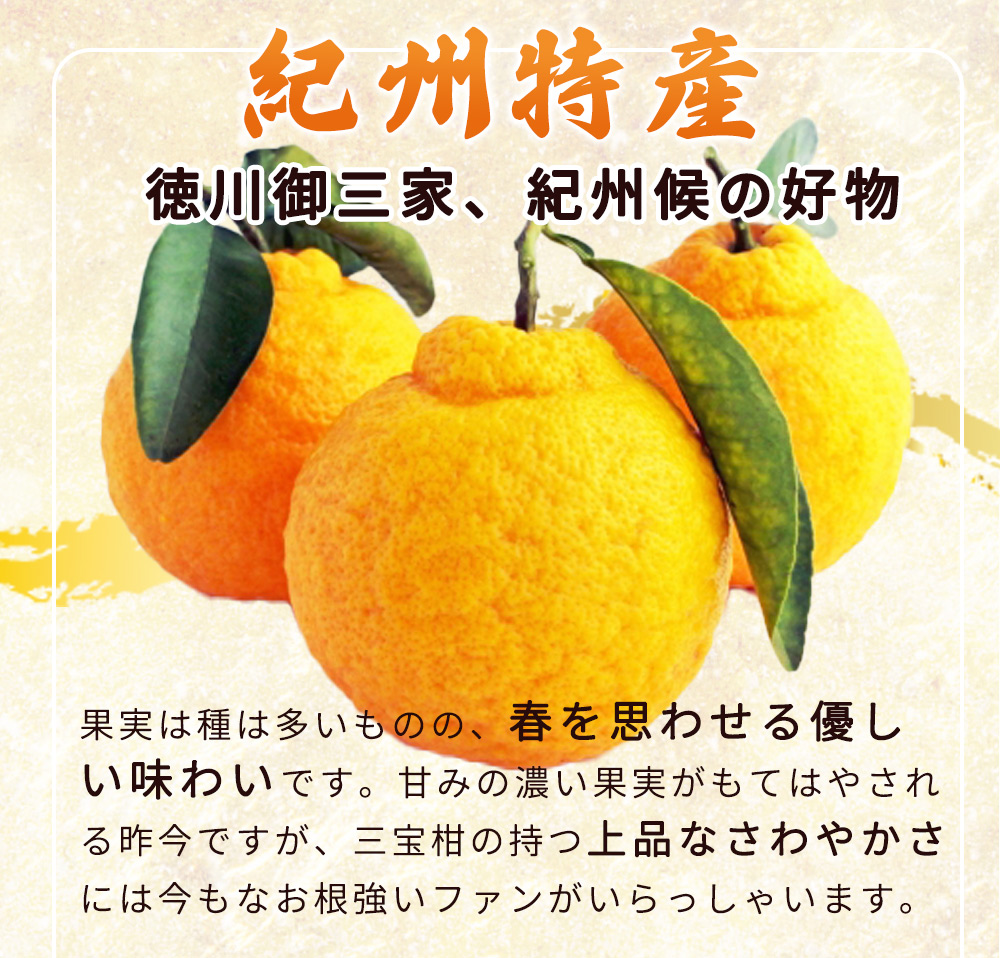 ZP6106n_【2026年先行予約】湯浅特産！ 三宝柑 5kg