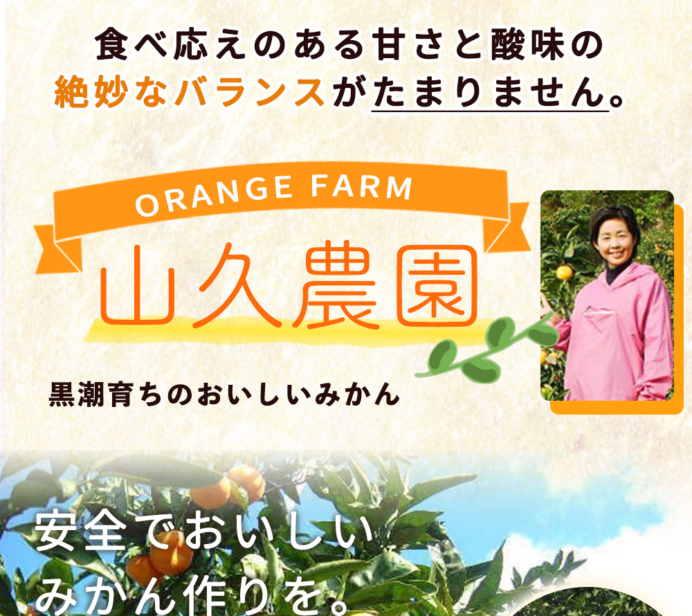 ZP6110_【2026年先行予約】食べ応えばっちり！ 甘夏 7kg