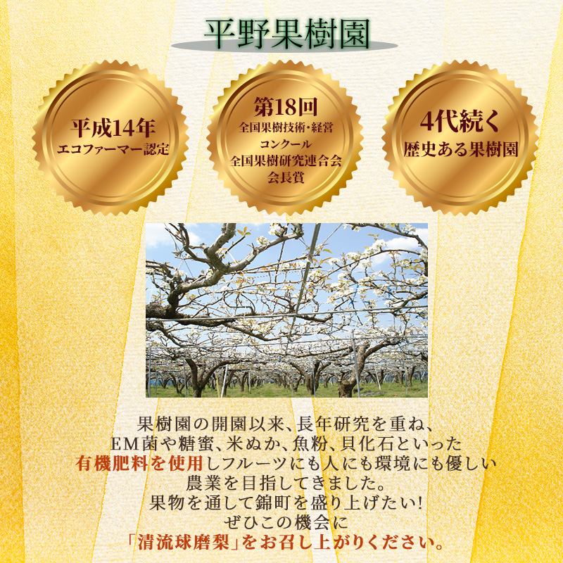 熊本県錦町のふるさと納税 梨 旬 5kg 先行予約 2025年発送 平野果樹園 錦の梨 なし フルーツ 果物 デザート 配送不可:離島