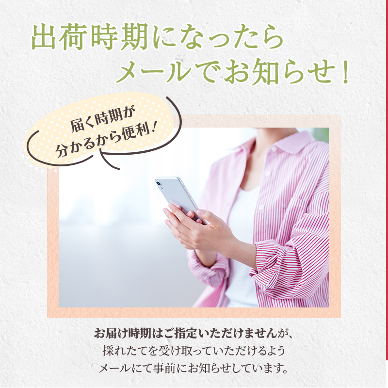 熊本県錦町のふるさと納税 梨 旬 5kg 先行予約 2025年発送 平野果樹園 錦の梨 なし フルーツ 果物 デザート 配送不可:離島