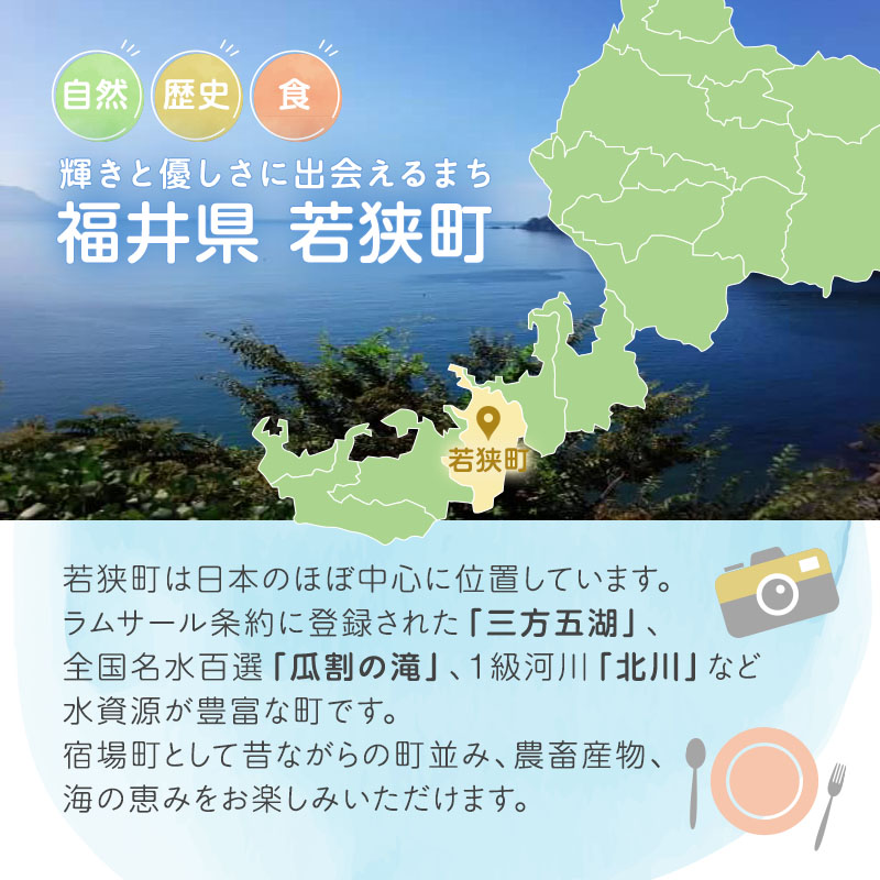 旅行 若狭町 プレミアム宿泊利用券 12000円分 1枚 宿泊補助券 福井県 福井 チケット 宿泊券 旅行券 宿泊 旅館 ホテル 1万2千円 福井県若狭町 