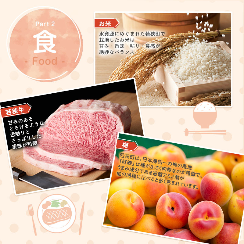 旅行 若狭町 プレミアム宿泊利用券 12000円分 1枚 宿泊補助券 福井県 福井 チケット 宿泊券 旅行券 宿泊 旅館 ホテル 1万2千円 福井県若狭町 