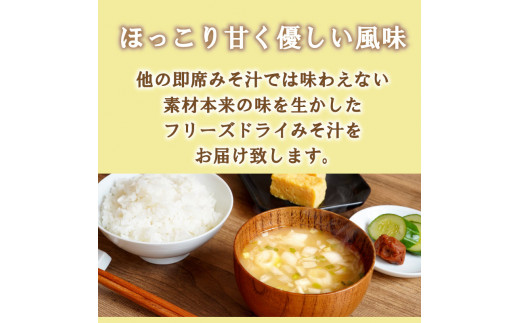 フリーズドライ 味噌 みそ 汁 17食分 麦 塩分 控えめ ヘルシー 食物繊維 たっぷり 鰹 昆布 出汁 だし 朝 ごはん 国産 老舗 加工 瀬戸内 ご当地 愛媛 愛南