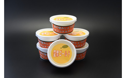 道の駅オリジナル「愛南ゴールドアイスクリーム」8個 アイス アイスクリーム シャーベット デザート スイーツ お菓子 食品 冷凍 みかん 蜜柑 柑橘 河内晩柑 