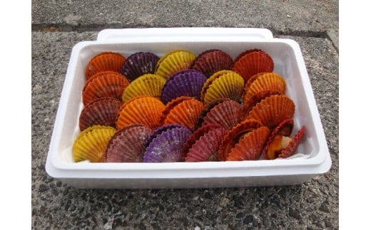 愛南ヒオウギ20枚 発送時期: 12月1日～5月中旬(なくなり次第終了)